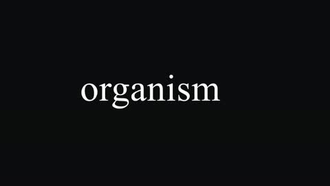 Organism — After Effects legacy preset preview
