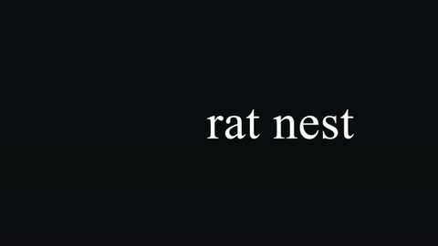 Rat Nest — After Effects paths preset preview