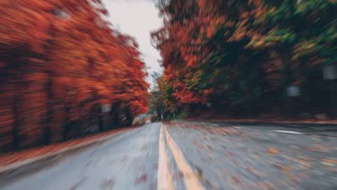Motion Camera — Premiere Pro video transition preview
