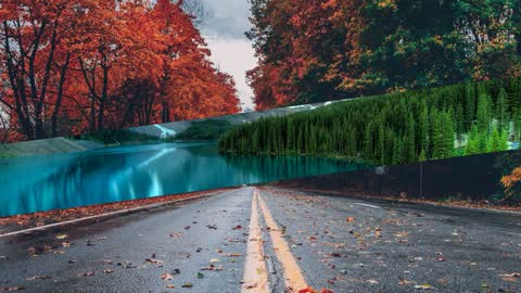 Split — Premiere Pro video transition preview